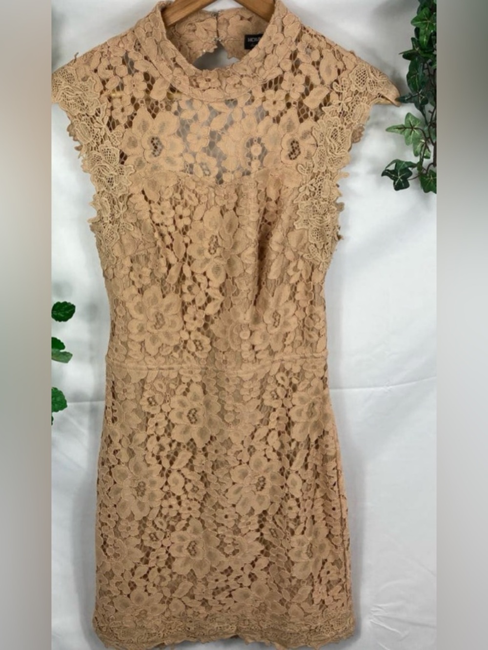 Hommage from Los Angeles Nude Lace Mini Open Back Dress SMALL